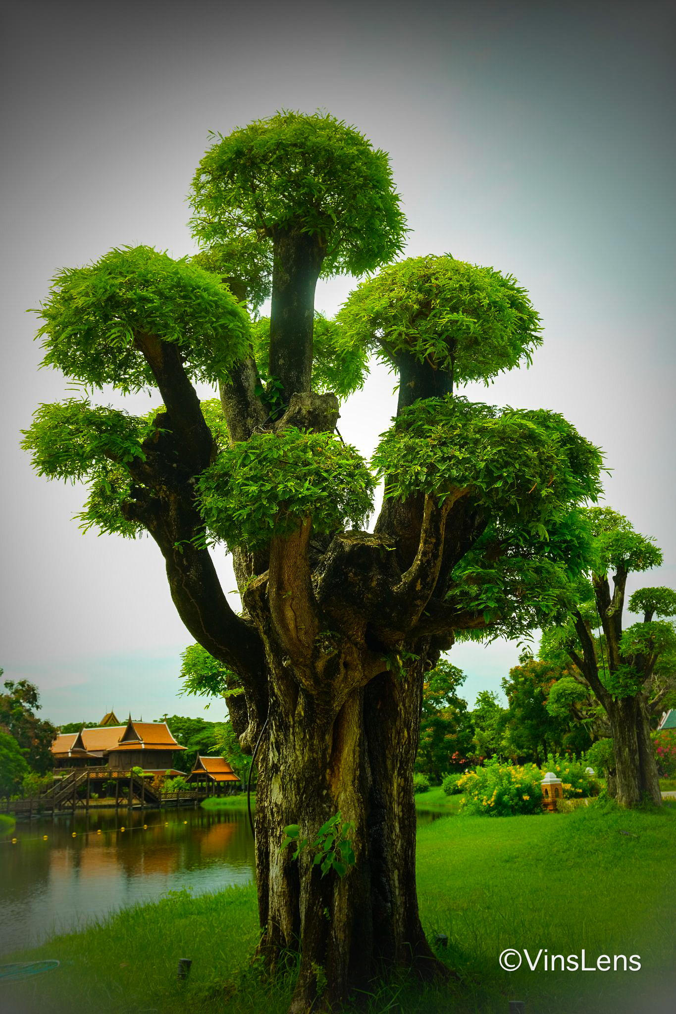 Fujifilm XF 35mm f/1.4