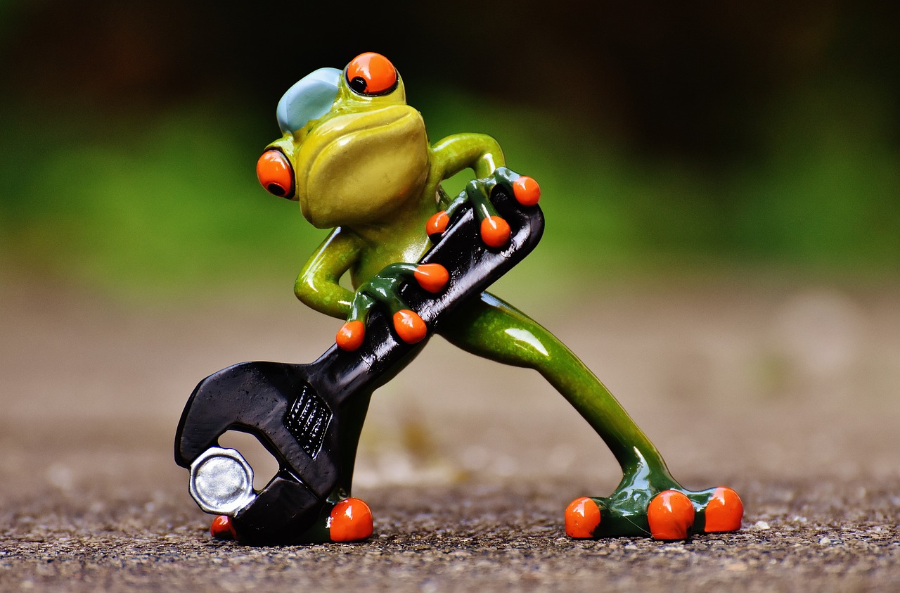 frog, mechanic, screwdriver-1672950.jpg