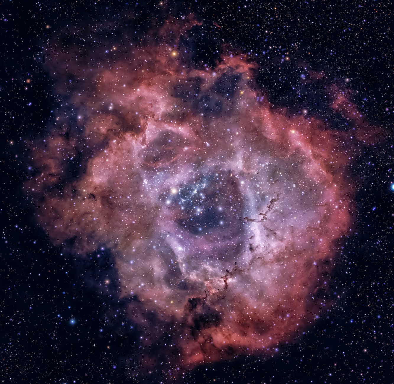 rosette nebula